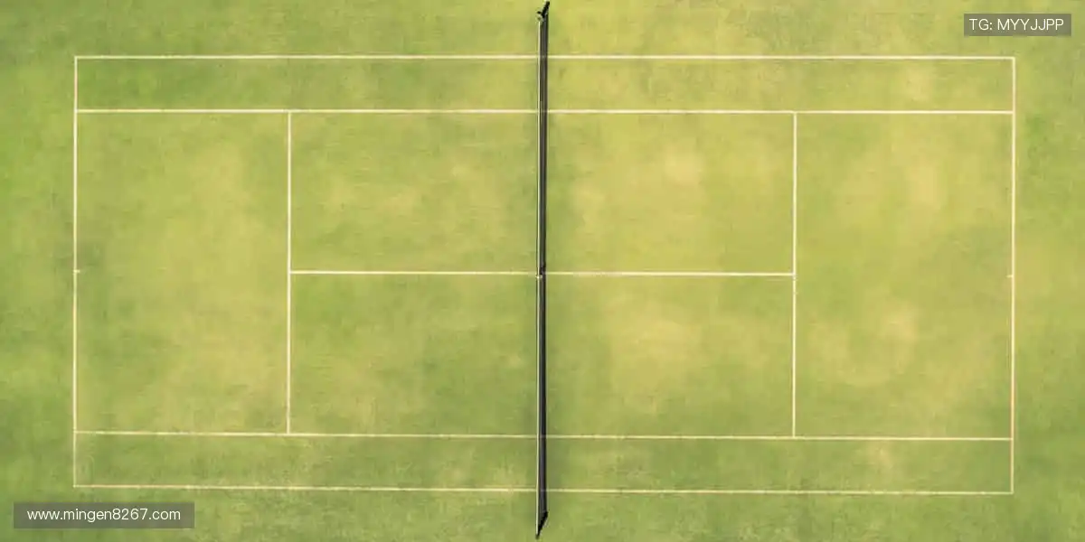 巅峰对决，不容错过！🏀✨